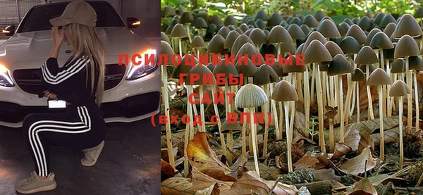 не бодяженный Балахна