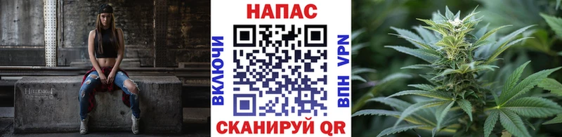 Бошки марихуана White Widow  гидра вход  Тайга  купить закладку 